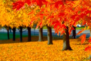 Don't fall behind in promotional marketing Don't fall behind in promotional marketing