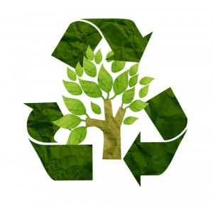 Eco-friendly giveaway ideas Eco-friendly giveaway ideas