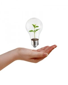 Promotional items are eco-friendly marketing tools