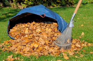Top 5 promotional items for November