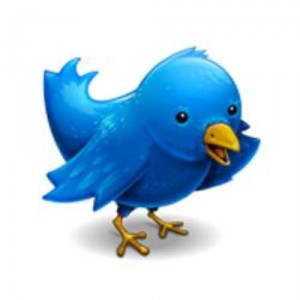 Using promotional products to stay on top of the social media craze Using promotional products to stay on top of the social media craze
